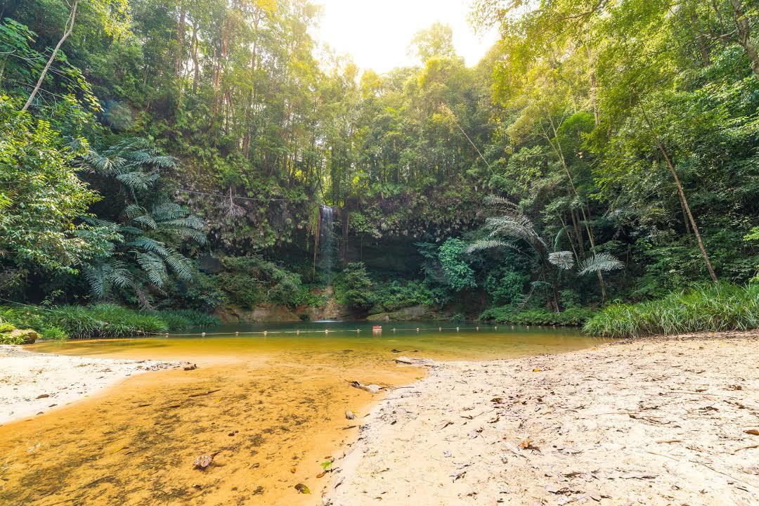Taman Negara Bukit Lambir